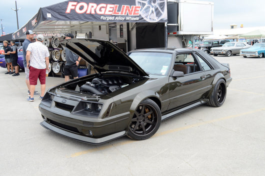 Gallery image 14