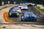 Ford Mustang GT4 Enjoys Global Racing Success - Image 2