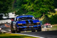 Ford Mustang GT4 Enjoys Global Racing Success - Image 3