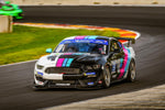 Forgeline Teams Sweep IMSA Michelin Pilot Challenge GS at Road America - Image 4
