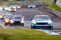 Ford Mustang GT4 Enjoys Global Racing Success - Image 4
