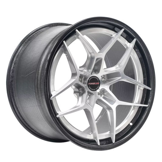 CF209 Finished with Brushed/High-Gloss Clear center
