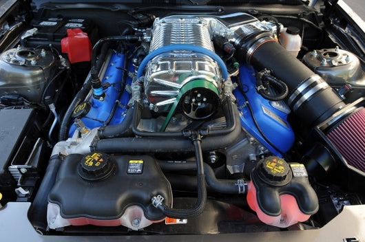 Gallery image 5