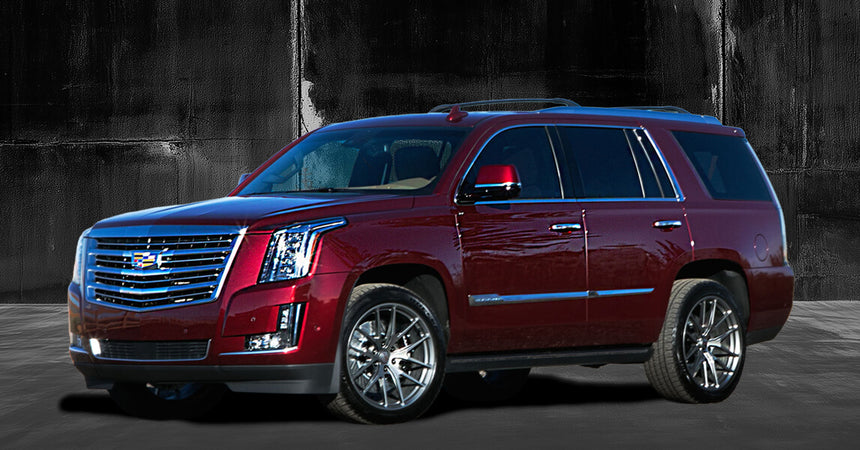 Truck & SUV