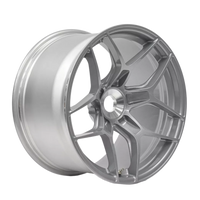 vv1rclinsilver-large-4711-v1 thumbnail
