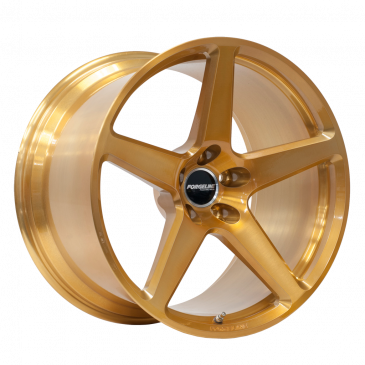 CF1 finished in Transparent Gold