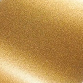 Satin Race Gold Beadlock Ring Finish