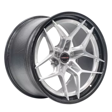 CF209 Finished with Brushed/High-Gloss Clear center